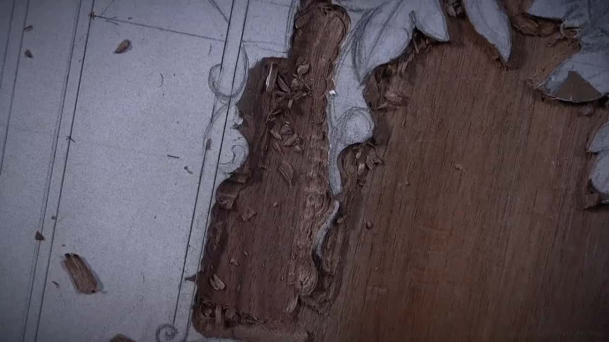 Torn fibers along an edge