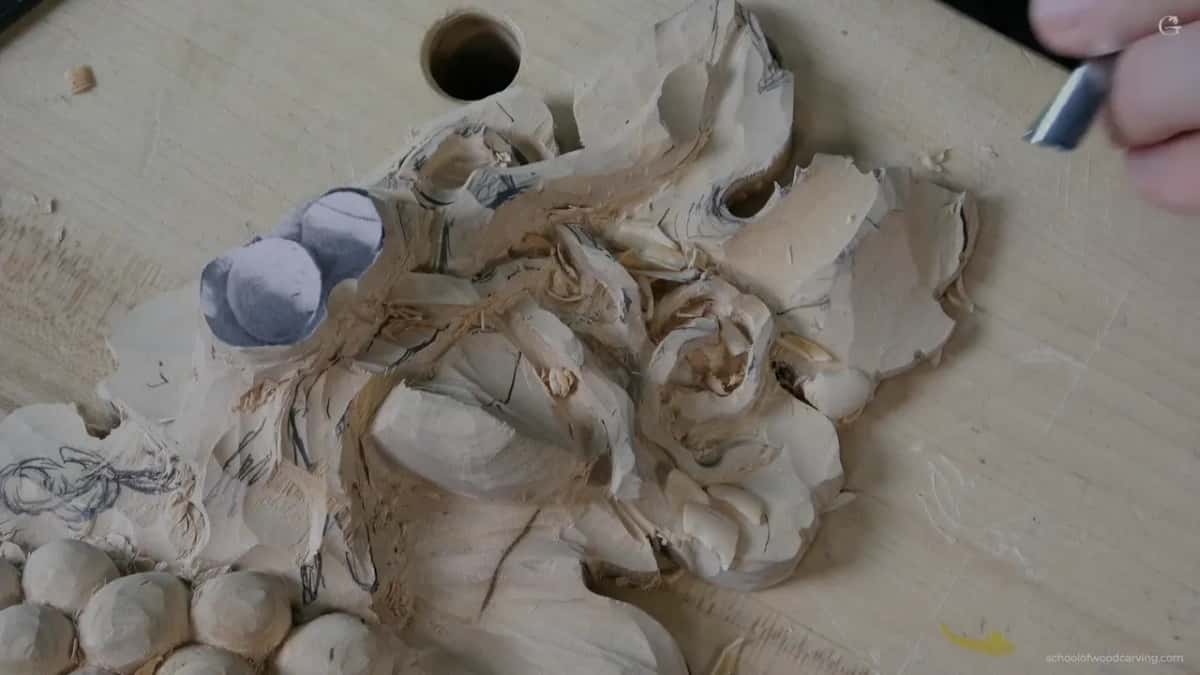 Top view, a straight gouge in the right hand at the far leaf