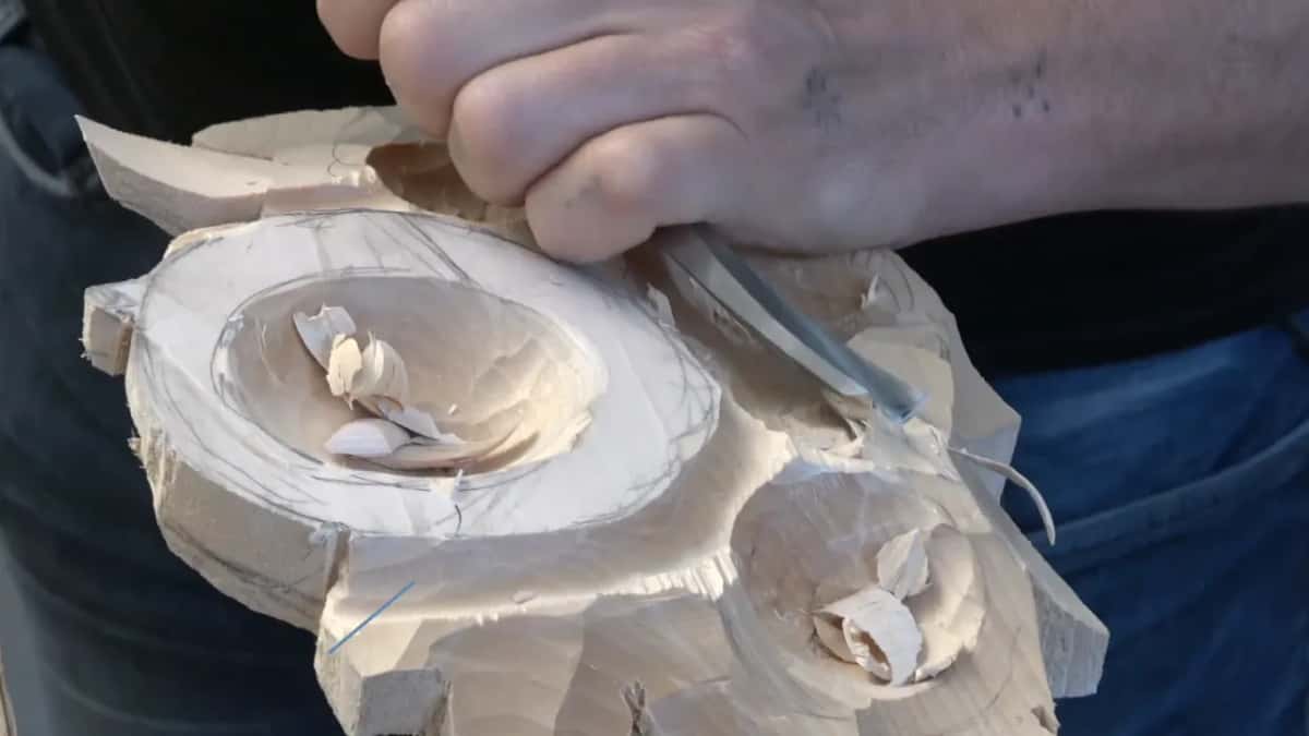 Chips inside the hollow.