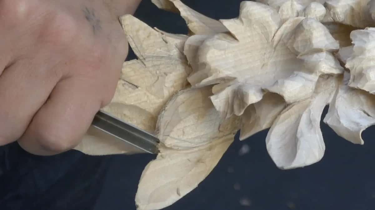 A gouge comes in low at the hollow of the new leaf