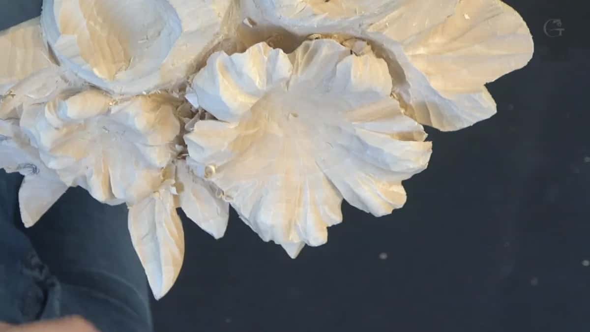 Overhead view of the largest flower and its narrow leaves
