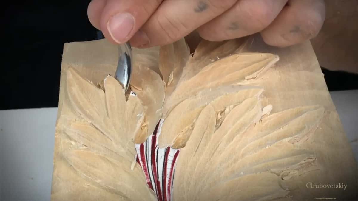 Close in from above, a gouge at the center lines of the leaf while the red stripes still show.