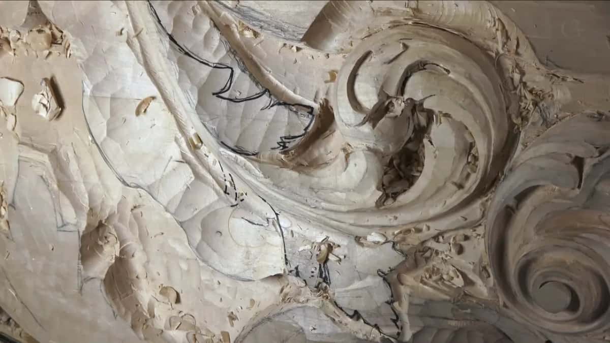 The curl on its own, chips resting in its hollows.