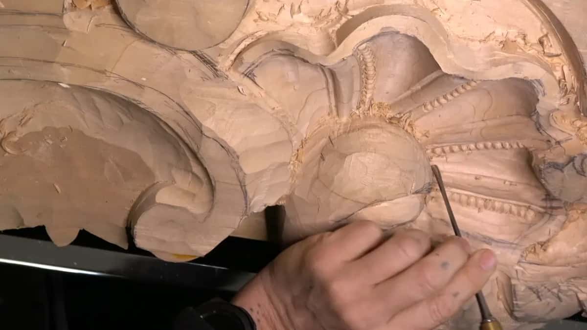 Small beads running across the shell.