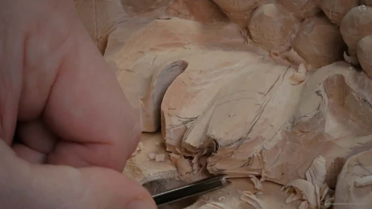 Blade held low at the bottom of the leaf, pencil lines on the lobe above