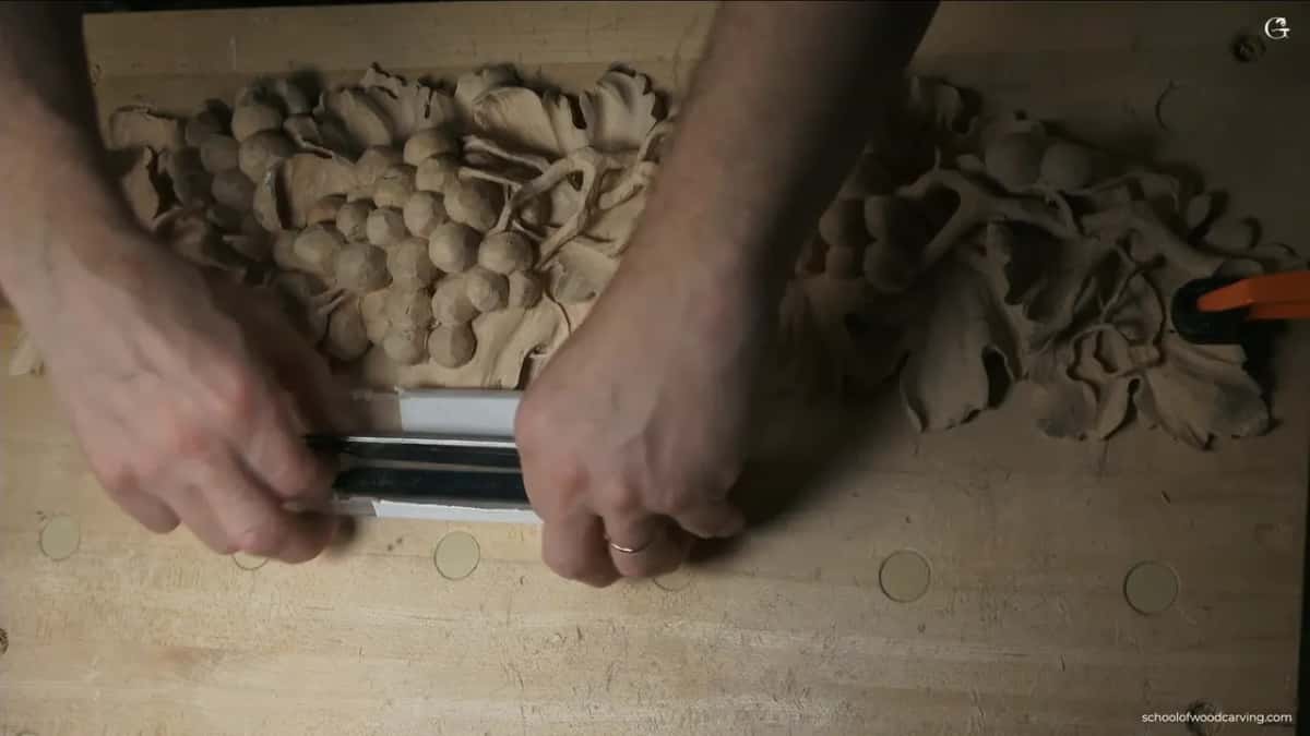 Long clear case gripped in two hands in front of the grapes
