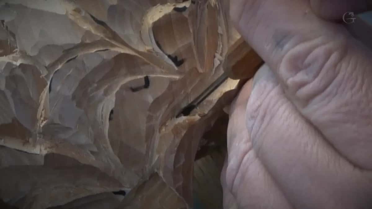 Tool tip down in a carved fold
