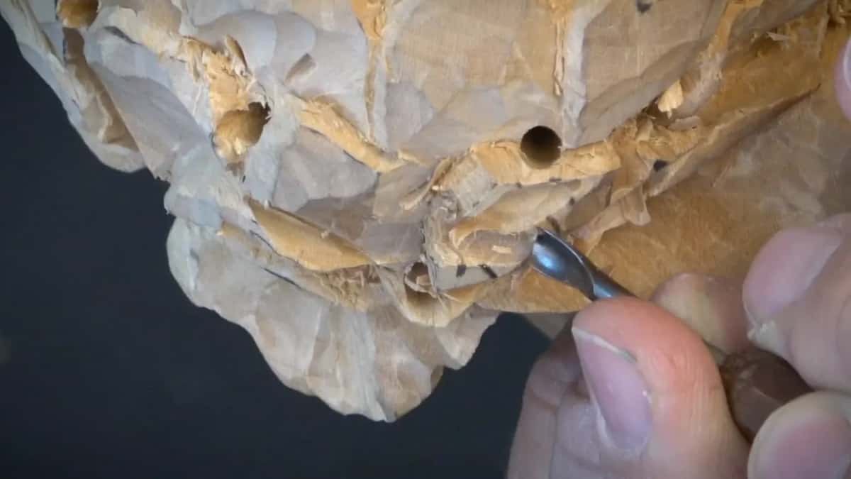 Three drilled holes sit dark in the carving while a small gouge works low on the right.