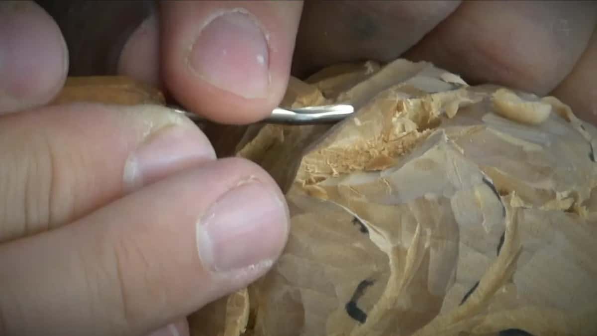 Fingers pinch a bent tool coming in from the left at the top of a petal