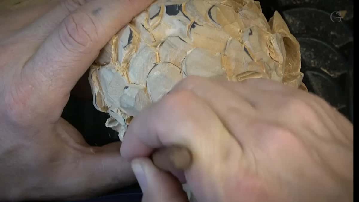 Both hands round the rough top of the flower