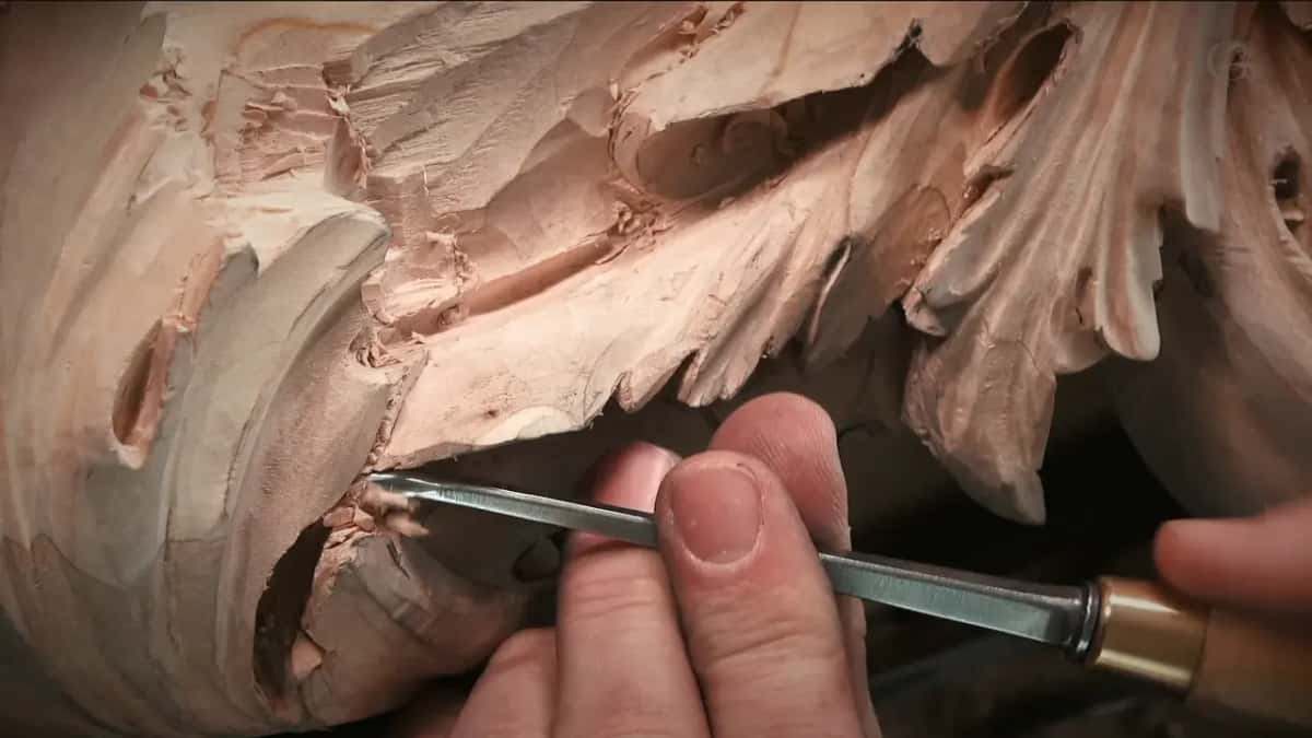 Long straight gouge laid almost flat below a leaf edge, a round dark hole a little to its left