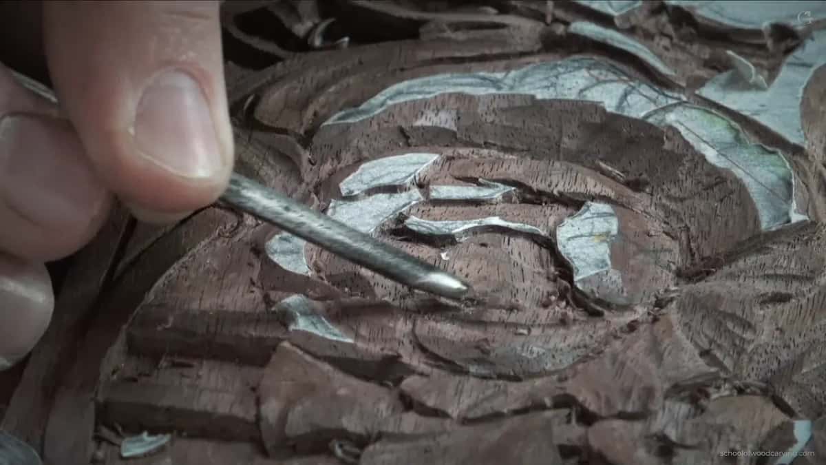 Bright steel slipped in among the petals at a low angle, close to the paper