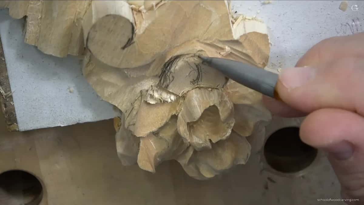 Pencil drawing a line on a petal.
