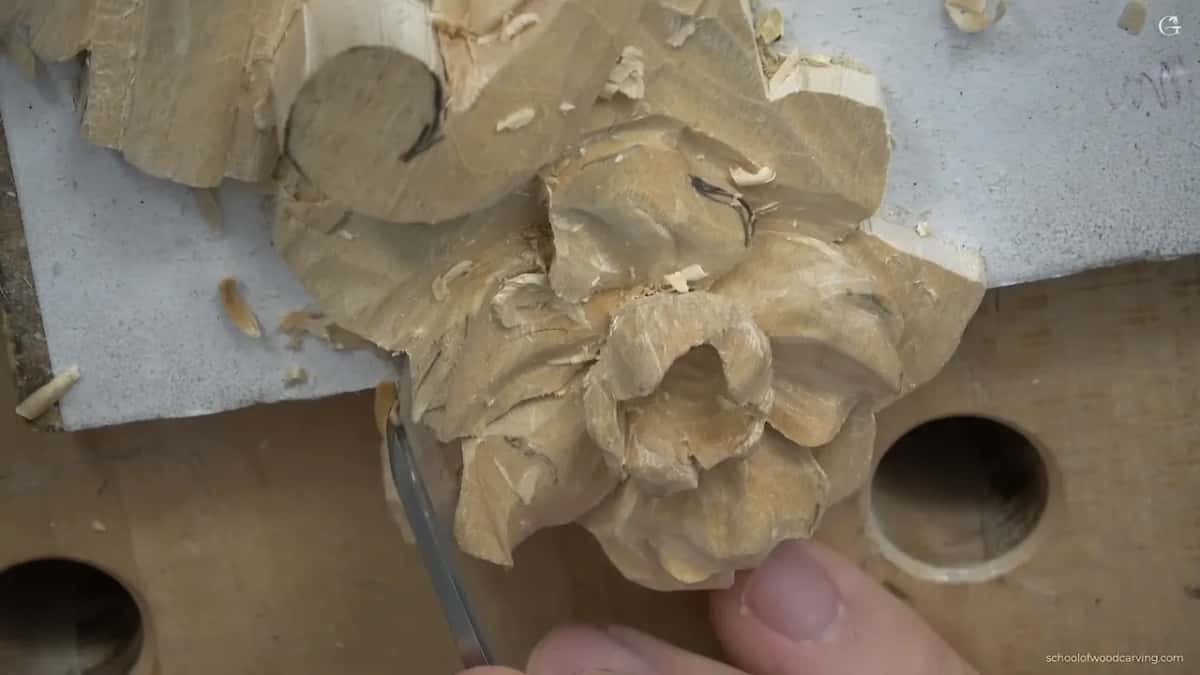 Narrow tool on a lower left petal.