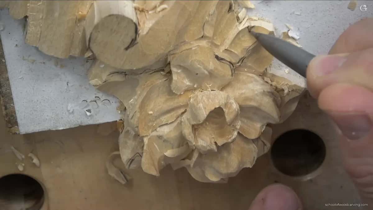 Pencil tip on the leaf at the upper right.