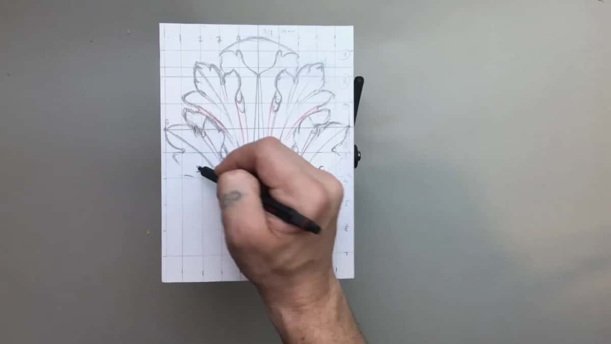 Pen at the left lobes