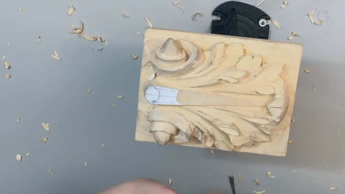 Whole leaf seen from overhead, white paper still stuck on its middle, shavings all around it