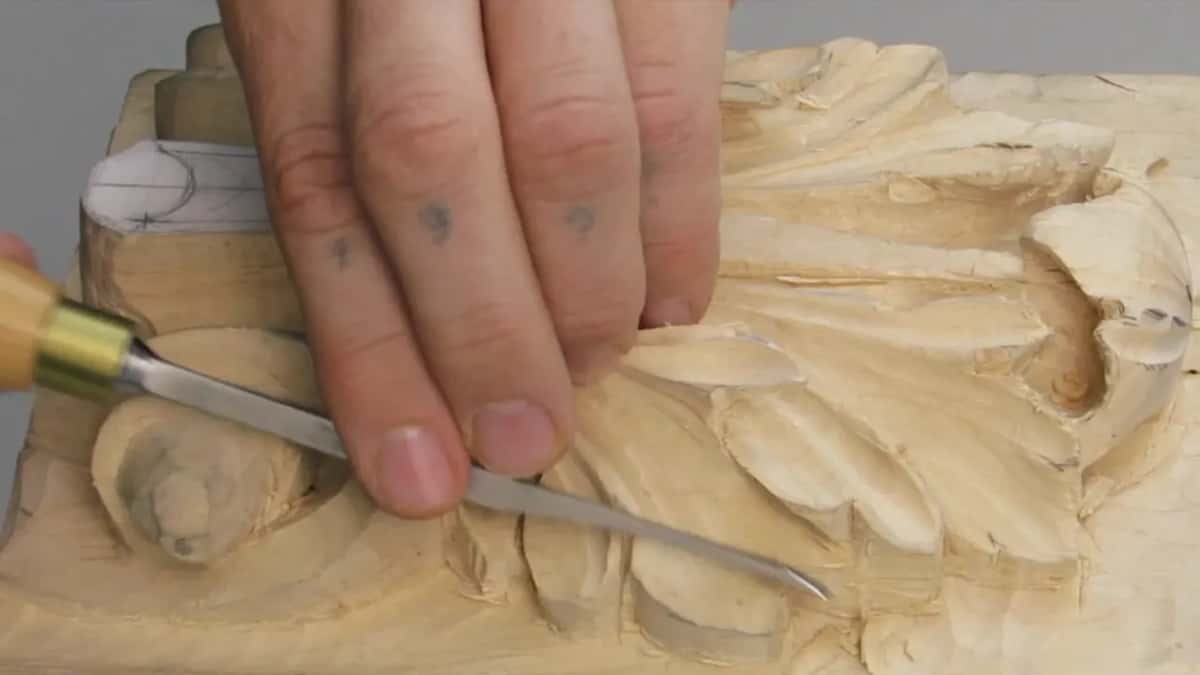 Spread fingers, brass ferrule, blade beside the curl
