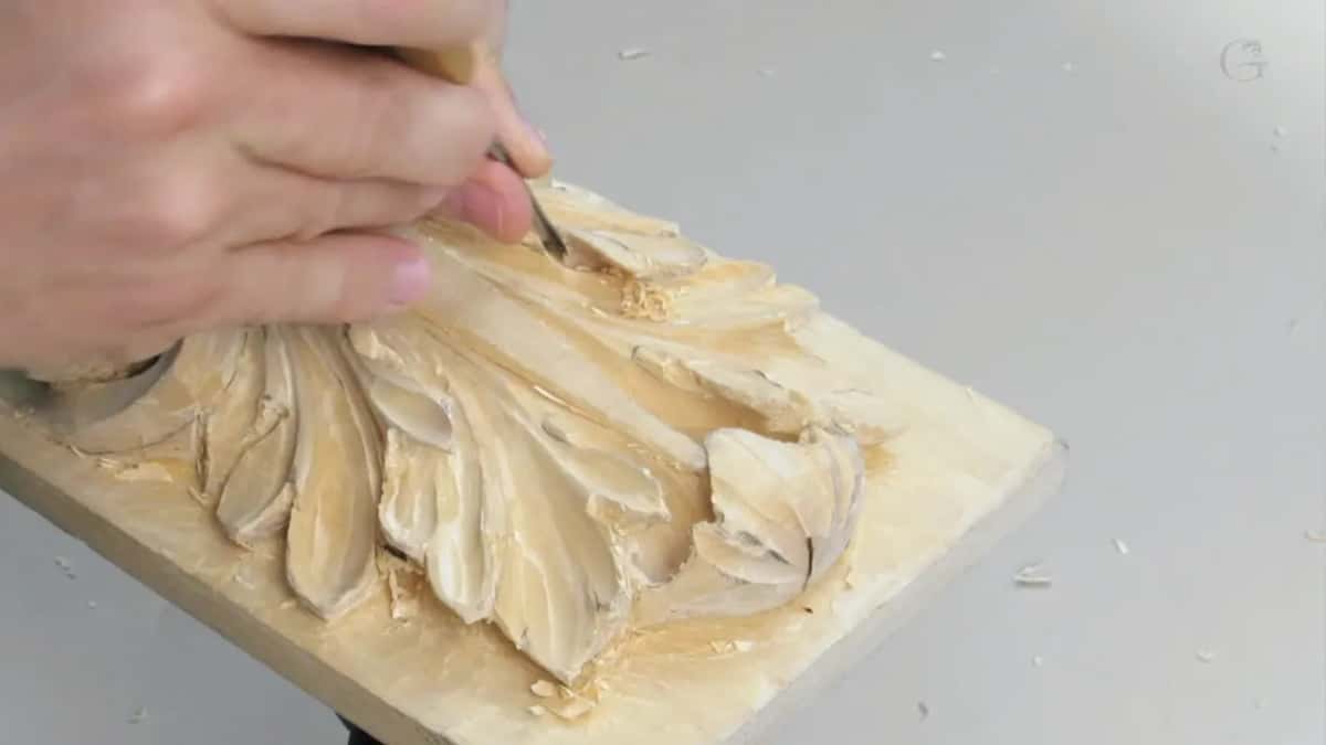 Close on one hand at the upper lobes