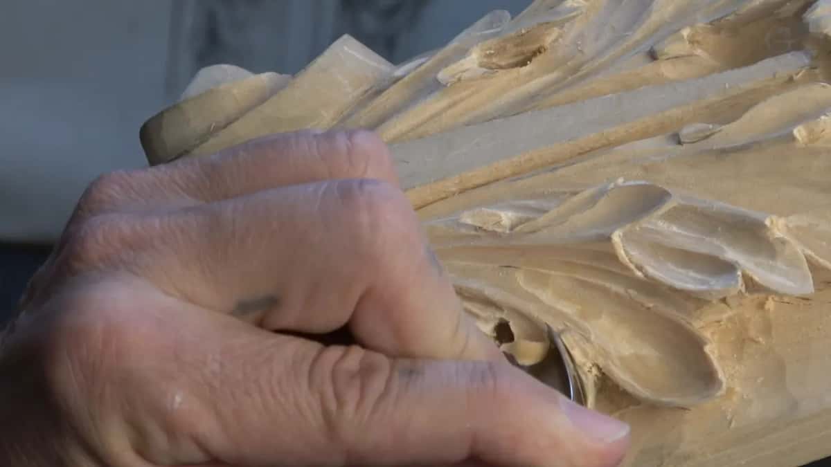 Closed fist low on the left, lobes above it