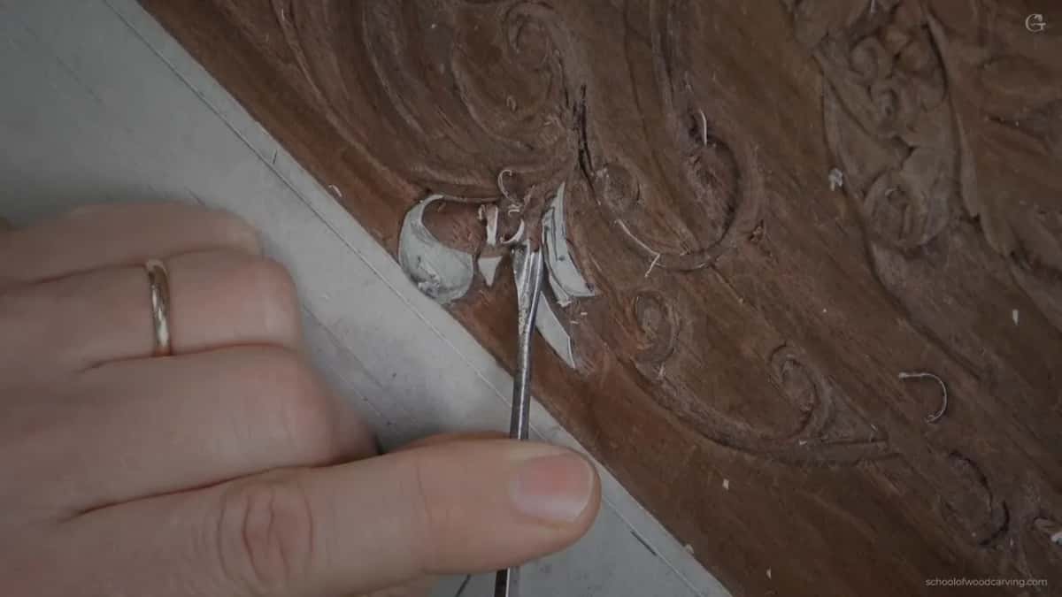 Between the white lobes of the leaf, a narrow tool and a ring on his finger