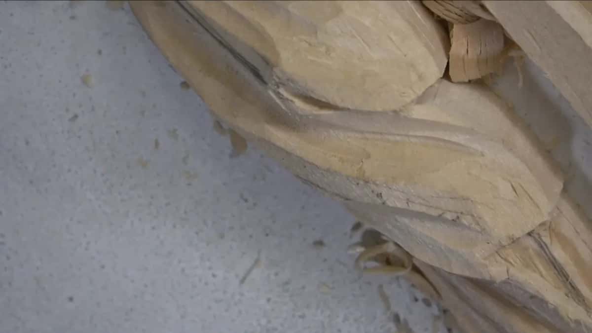 Carved lobes, close up.
