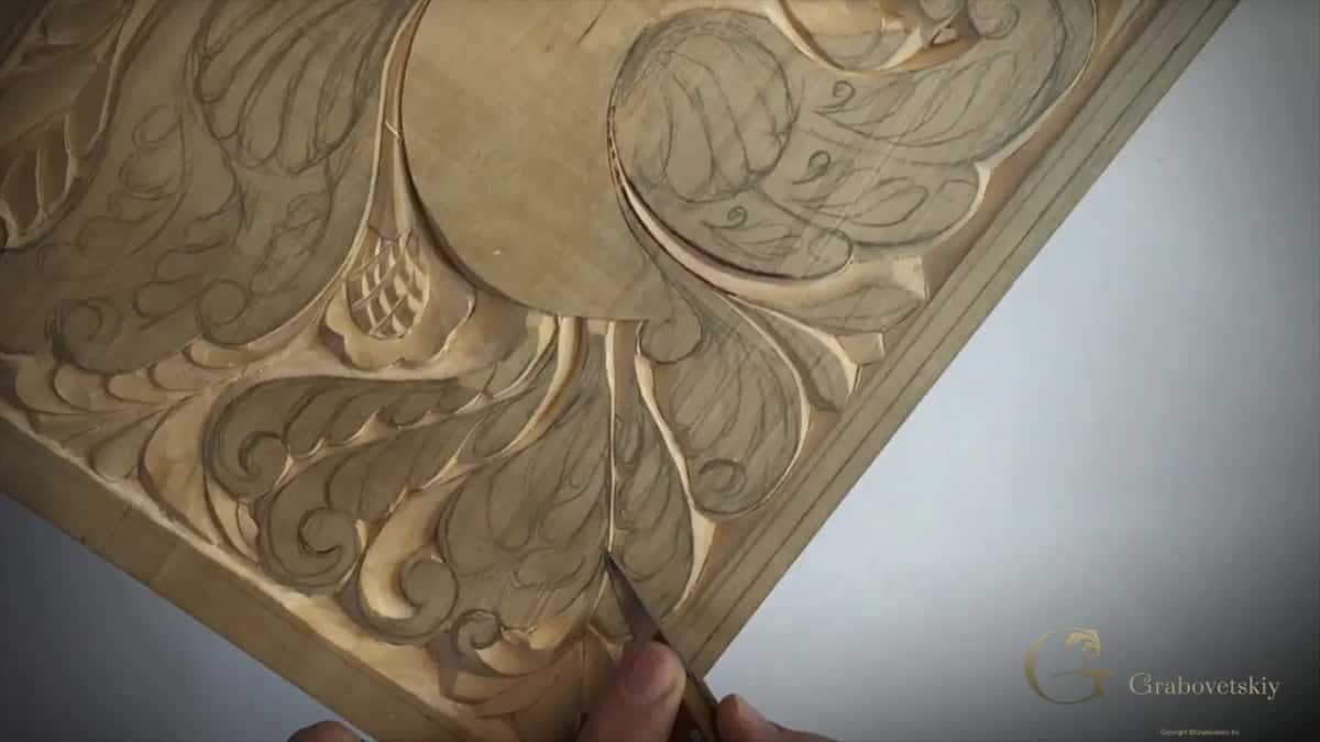 Curls along the lower edge