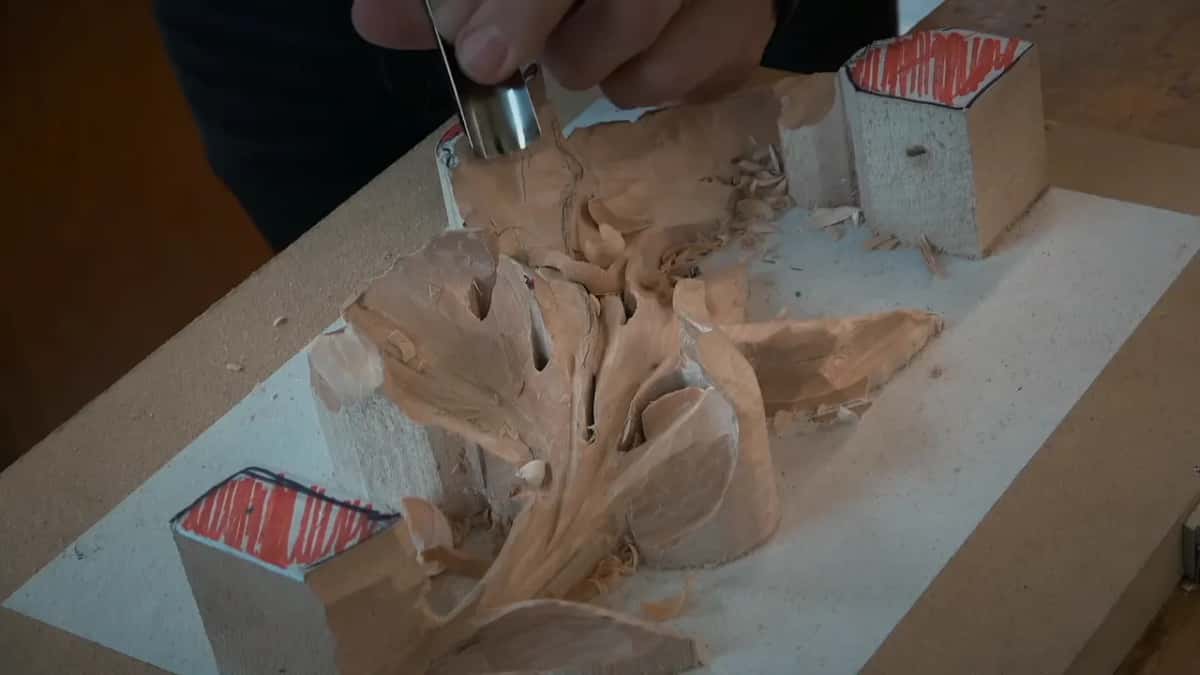 The whole leaf from above, chips scattered on the white sheet, a gouge at its upper end