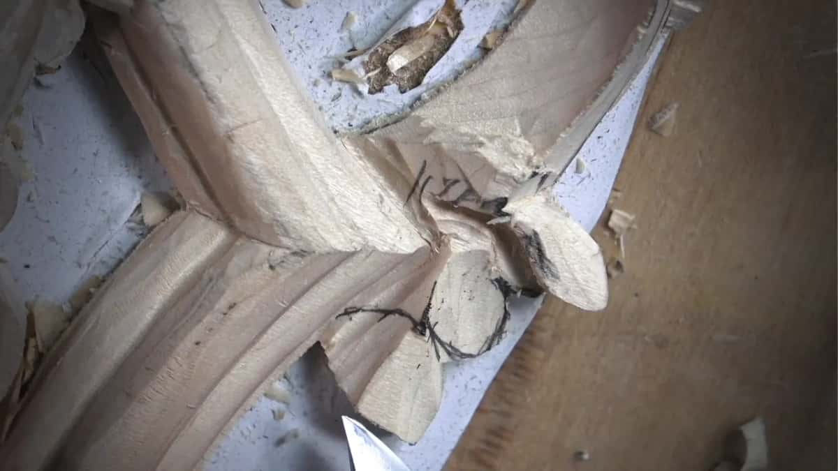 Knife-like blade at the lower edge of the roughed leaf