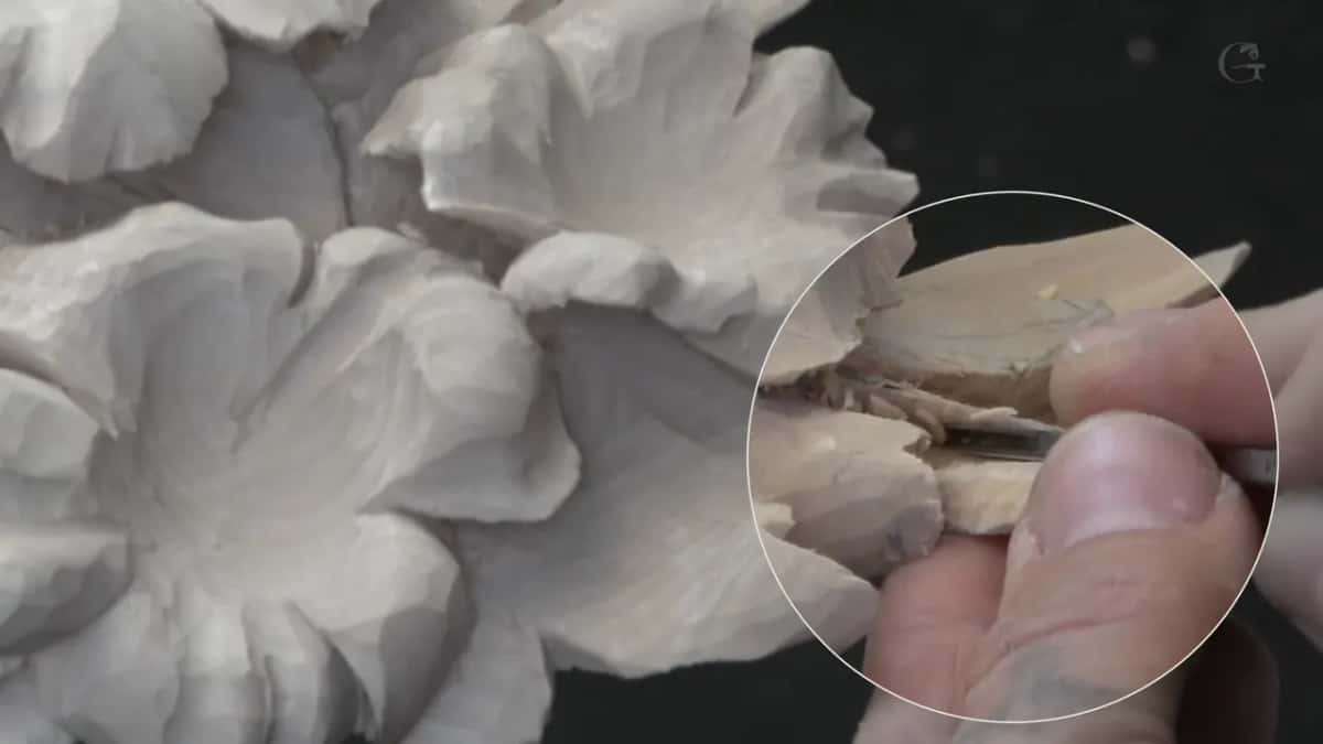 Tiny tool, magnified petal.