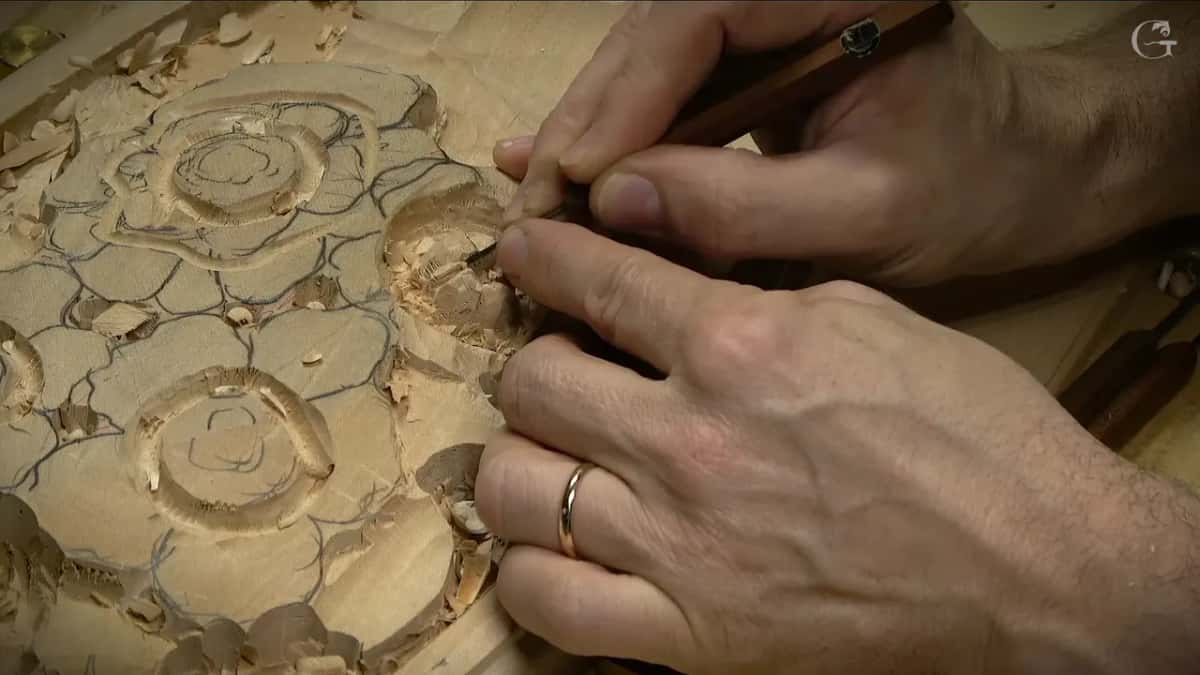 Two hands keep a small tool steady inside a flower's inner petals