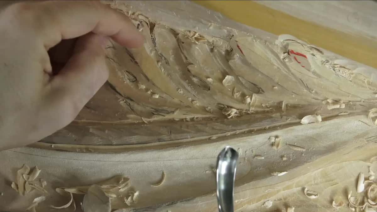 Fingers spread over a long leaf with a deep groove