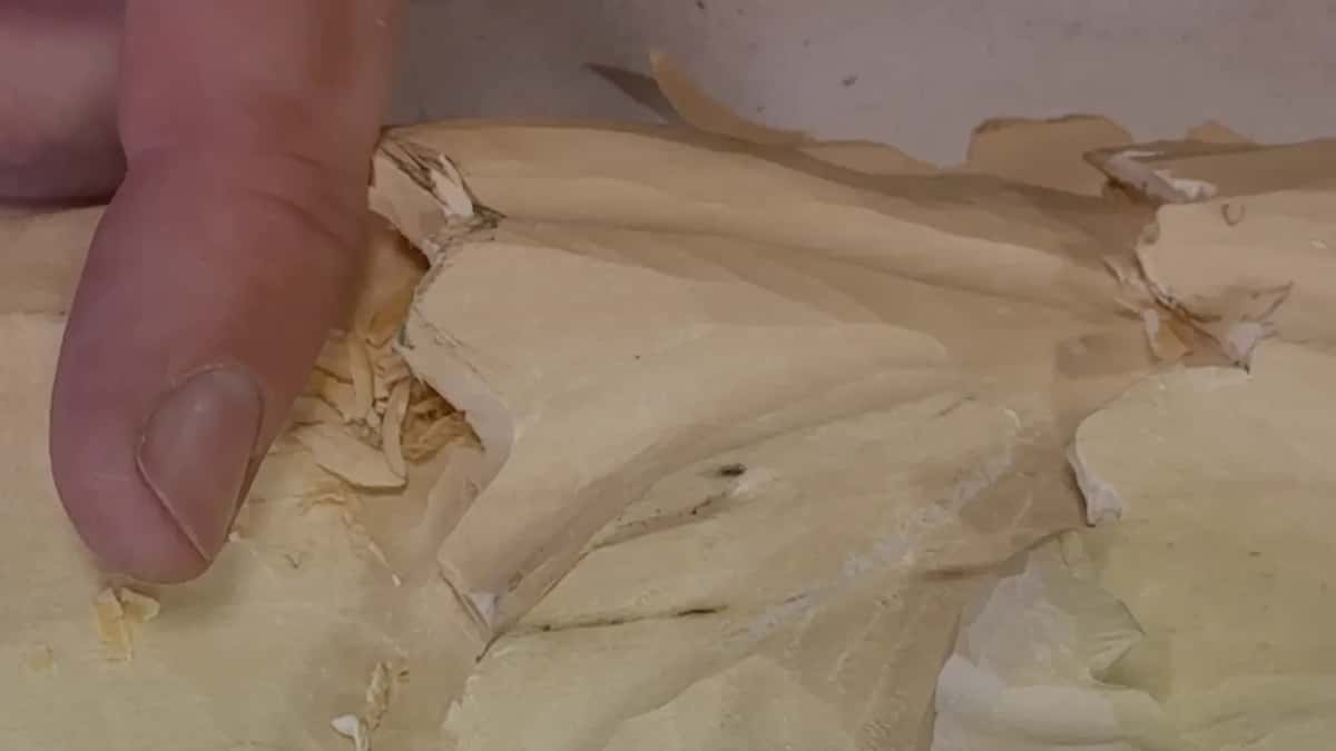 Fingertip pressing down on the leaf right next to the fresh chips