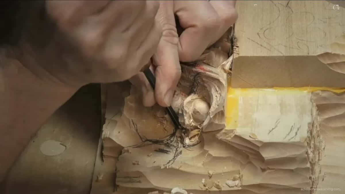 Veiner pressed into pencil lines around the husk