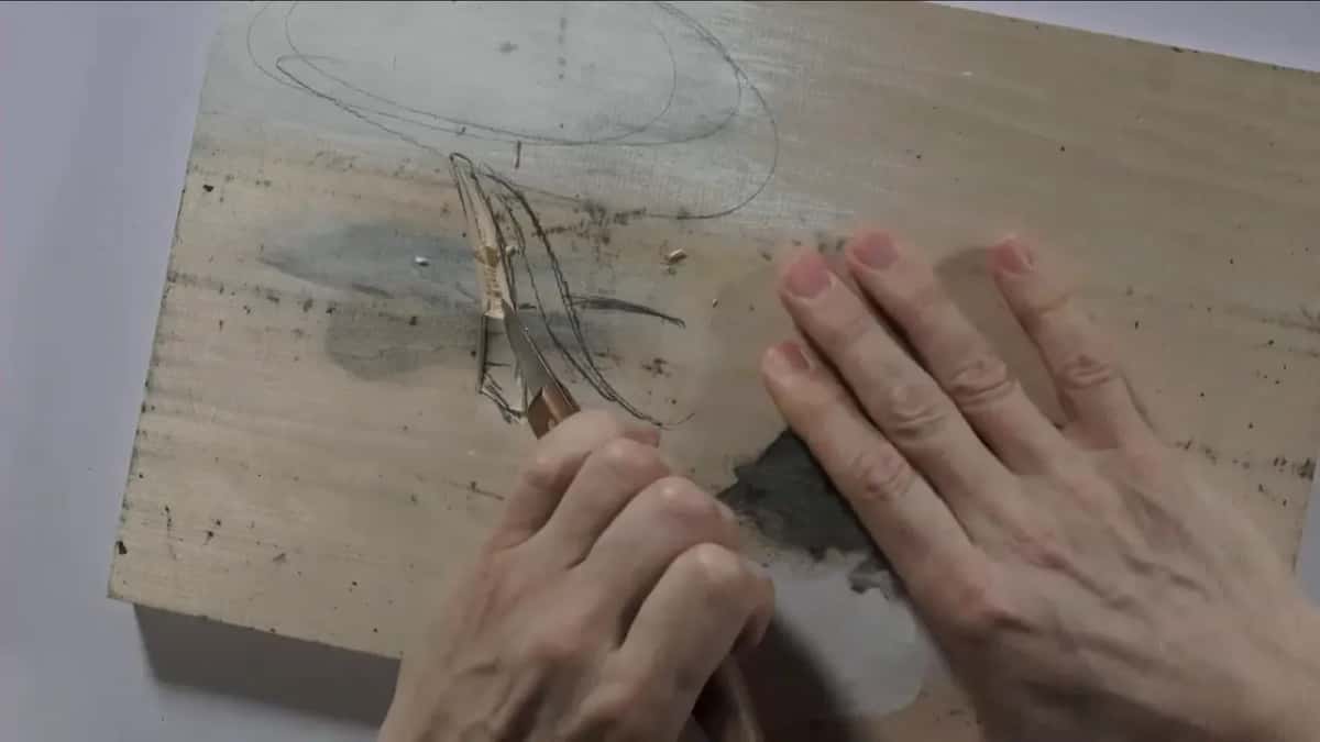 A thin curl of wood lifts out of the stroke