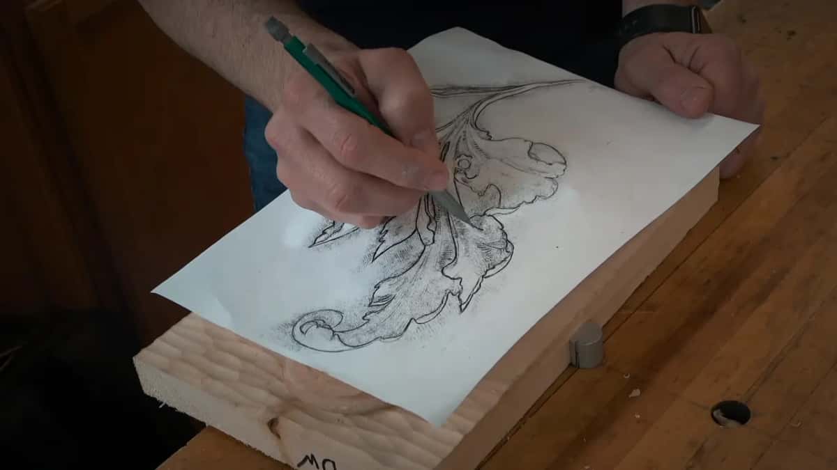 Pencil on the paper drawing of the leaf