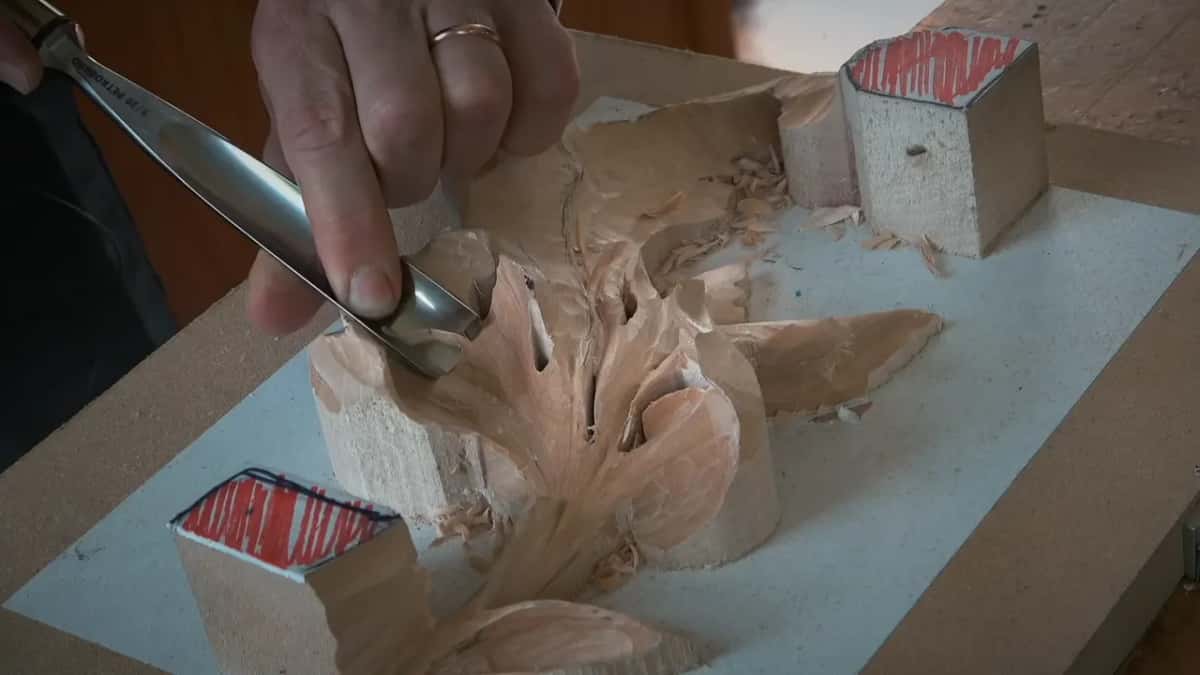 Wide gouge low on the leaf, chips scattered over the white board