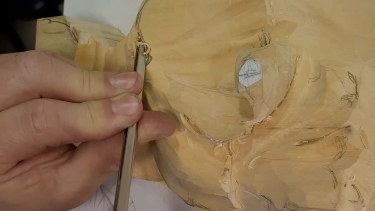 Narrow tool held upright against a leaf's edge.