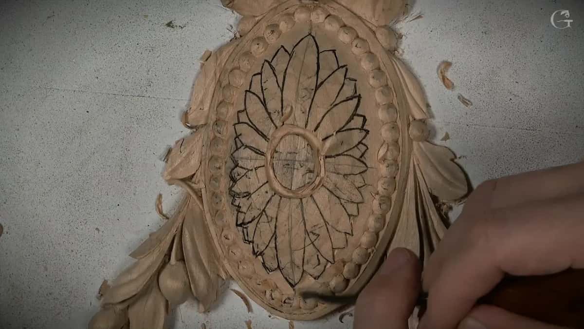 Close up, a small dark tool down at the petal tips below the ring
